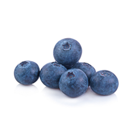 אוכמניות כחולות