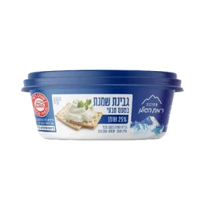 גבינת שמנת 25%